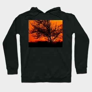 Fiery sunset Hoodie